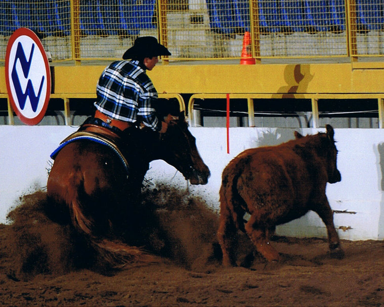 Quintana Quarter Horses Client Success