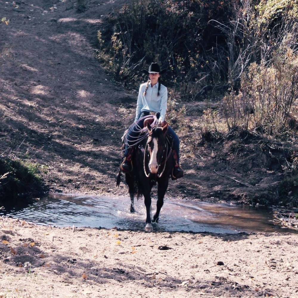 Quintana Quarter Horses Client Success