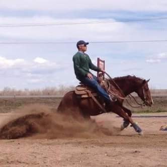 Quintana Quarter Horses Client Success